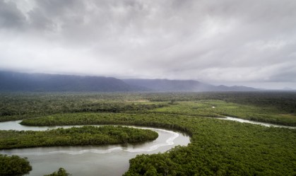 Mundo pode perder até US$ 39 trilhões com desaparecimento de áreas úmidas