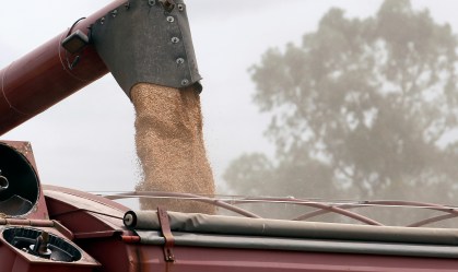Governo editará decreto para fixar cota de trigo pedida pelos EUA