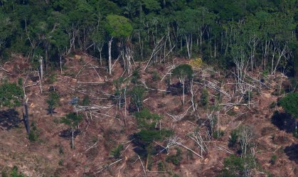Desmatamento da Amazônia registra maior taxa em maio desde 2016