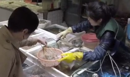 Após 4 meses, mercados de Wuhan começam a reabrir
