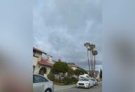 Casa é invadida por centenas de pássaros nos Estados Unidos; assista