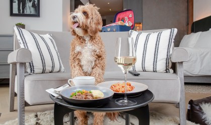 Hilton lança cardápio para pets