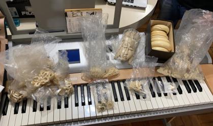 PF faz operação em São Paulo contra o comércio ilegal de marfim de elefantes