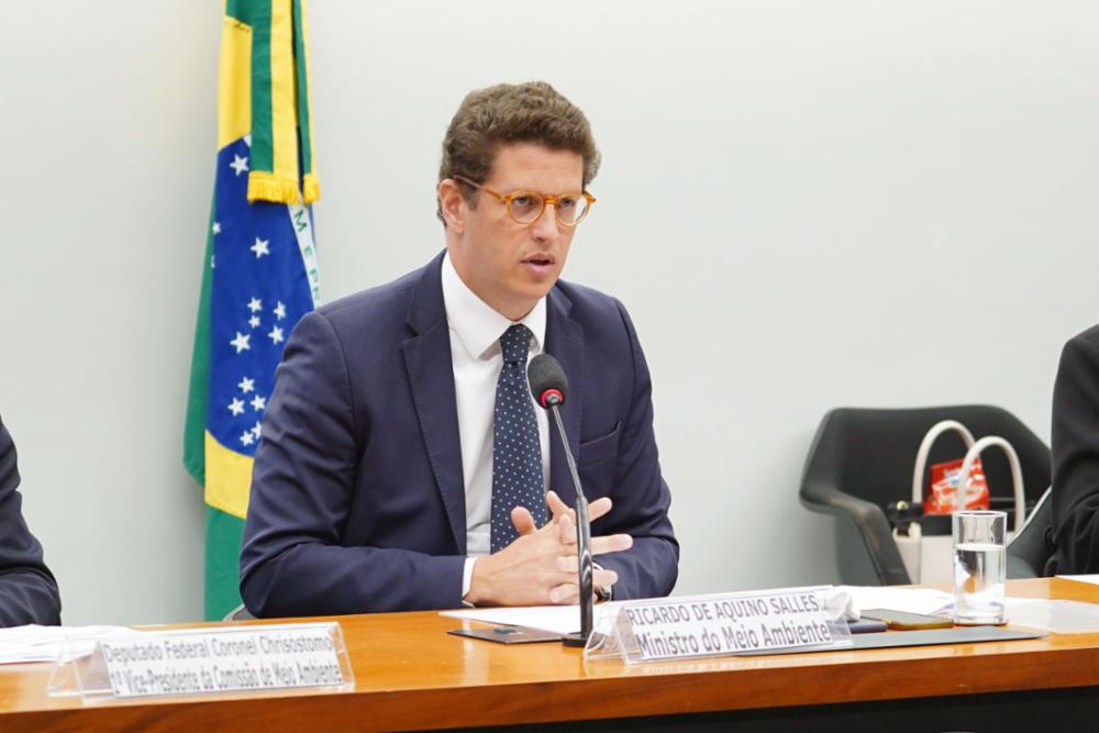 O ministro do Meio Ambiente, Ricardo Salles O ministro do Meio Ambiente, Ricardo Salles