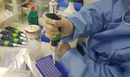 Estudo chinês indica desenvolvimento de anticorpos após infecção por COVID-19