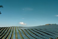 Crescimento da energia solar deve chegar a 100%, diz presidente de associação