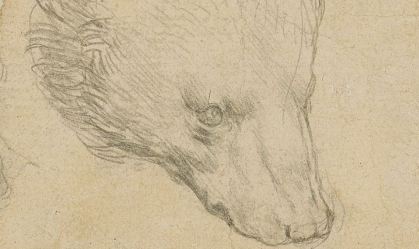 'Cabeça de Urso' de da Vinci pode bater recorde de desenho mais caro do artista