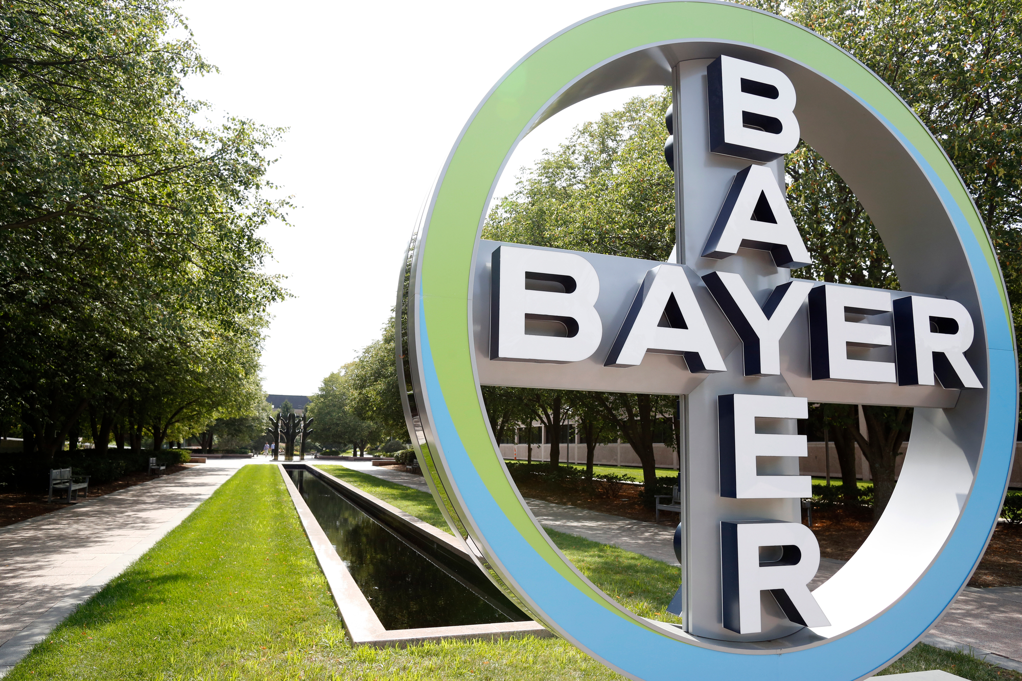 Bayer