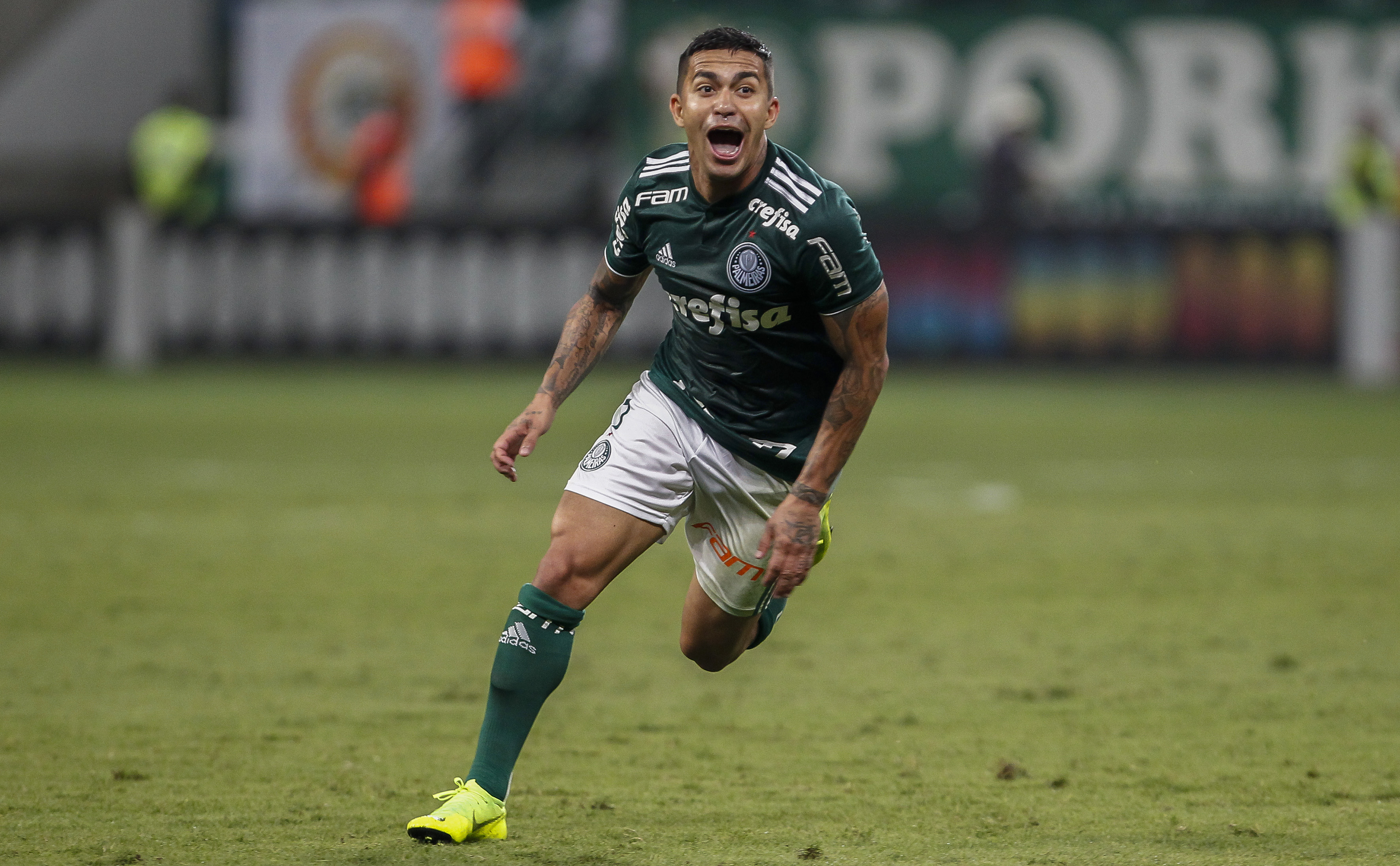 Dudu Palmeiras