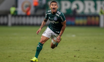 Dudu Palmeiras