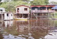 Amazonas confirma 49 casos da “doença da urina preta”, relacionada ao consumo de pescados