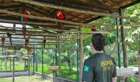 Funcionário do Ibama