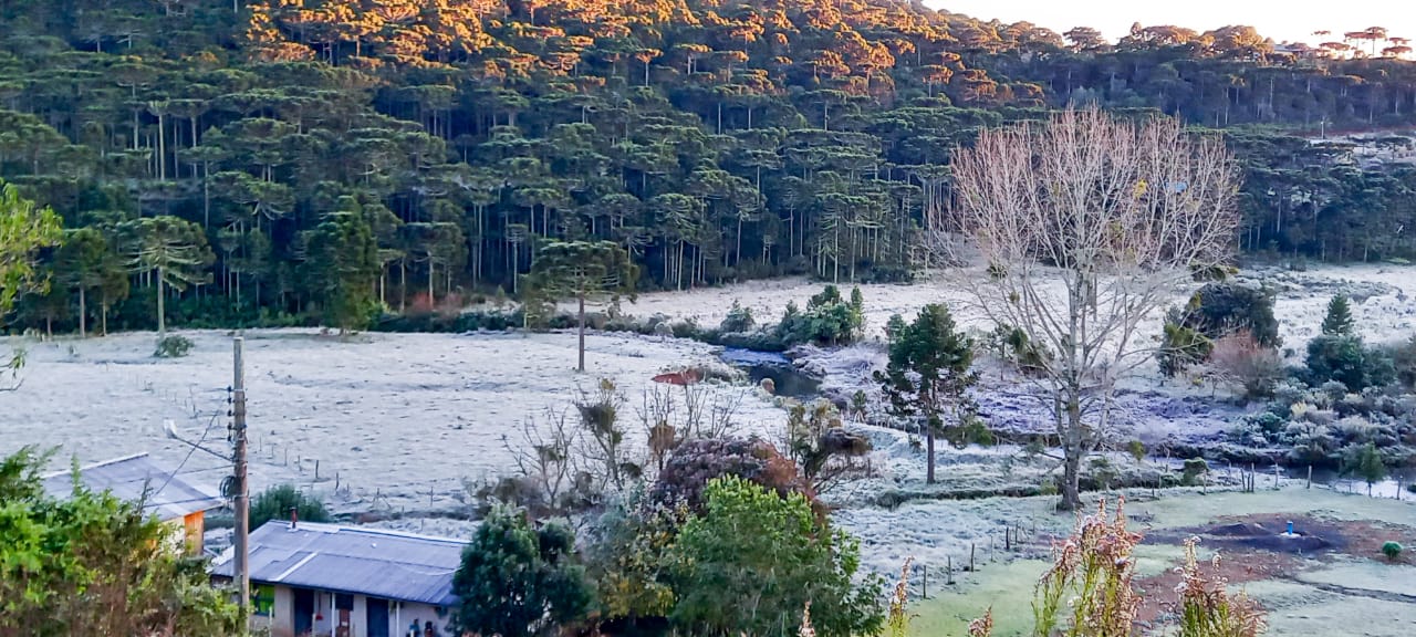 Amanhecer mais frio do ano faz gear em São Joaquim (SC)
