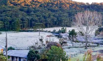 Amanhecer mais frio do ano faz gear em São Joaquim (SC)