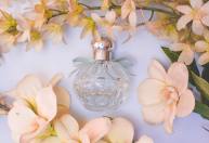 Cientistas usam IA para reproduzir aromas que podem desaparecer