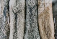 Grupo de moda Kering anuncia que não usará mais peles de animais