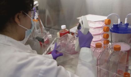 Monitoramento da cepa indiana no Brasil (21 de maio de 2021)