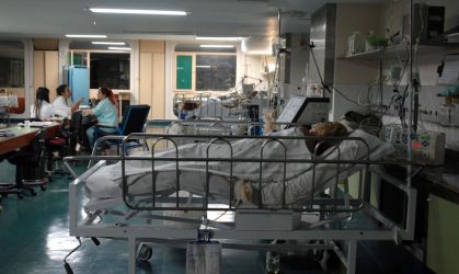 hospital leito uti