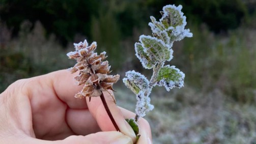 Frio em Minas Gerais