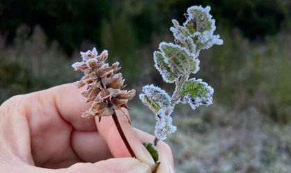 Frio em Minas Gerais