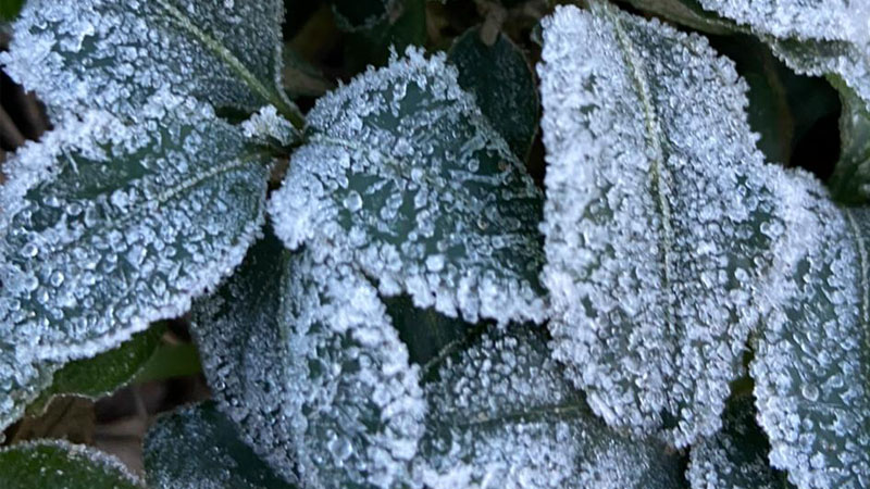  Frio em Minas Gerais