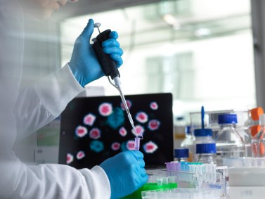 Imagem de laboratório