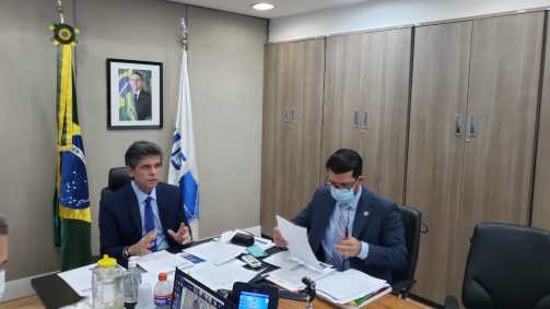 O ministro da Saúde, Nelson Teich, durante teleconferência com senadores