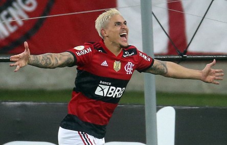 Pedro, do Flamengo, comemora seu gol marcado sobre o Palmeiras