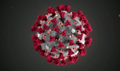 Origens da Covid-19 precisam ser investigadas de forma mais ampla, diz ex-FDA