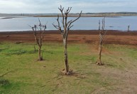 Crise hídrica: preço do desmatamento na Amazônia é falta de chuva, diz professor