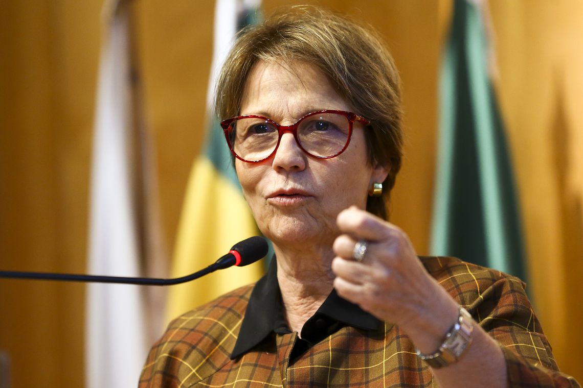 A ministra da Agricultura, Pecuária e Abastecimento, Tereza Cristina