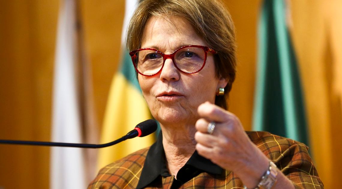 Câmara prioriza seguro rural em 2026