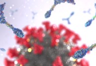 Por que algumas pessoas não se infectam com o coronavírus