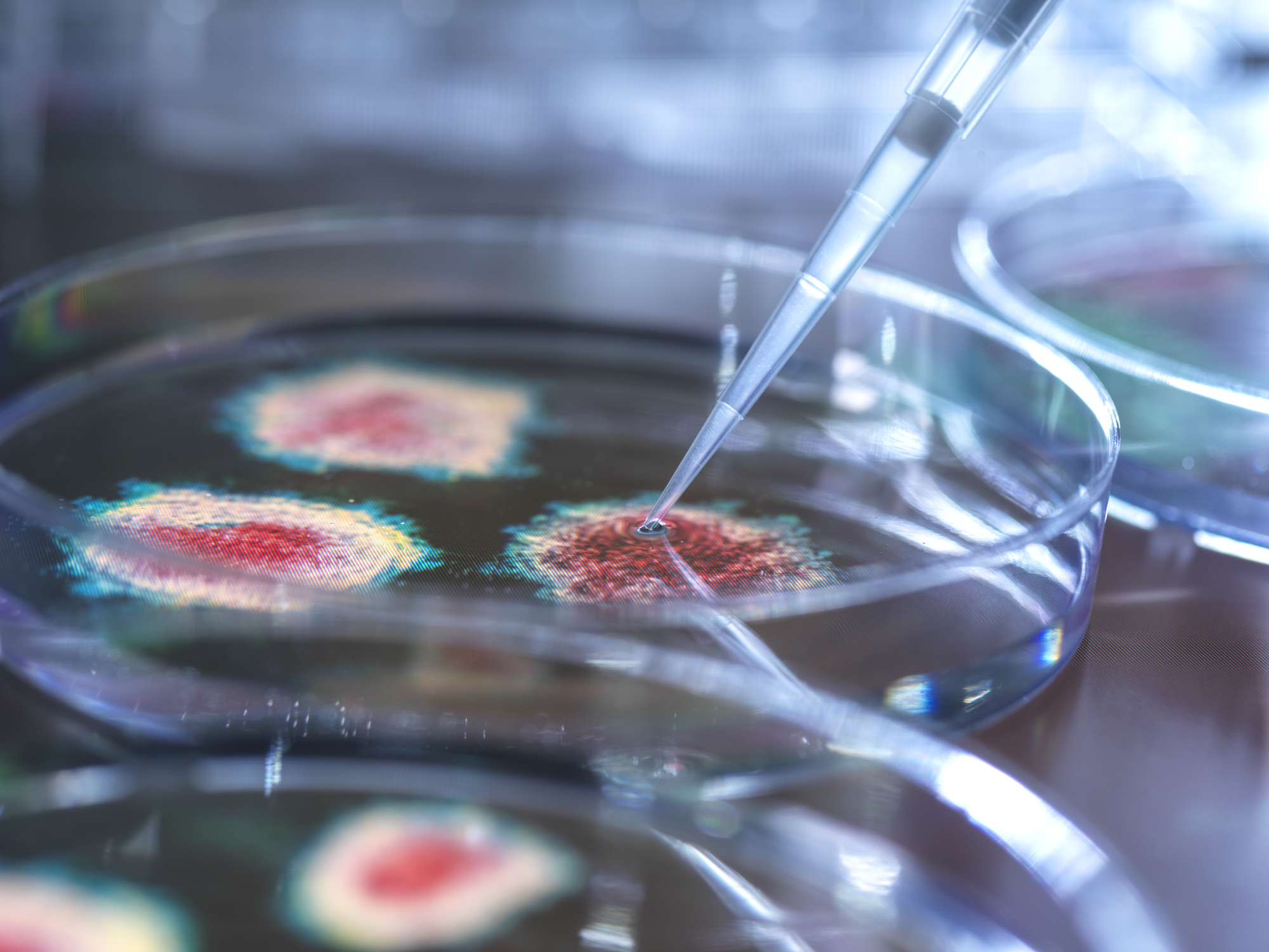 Protozoários e vírus são microrganismos