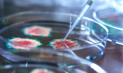 Protozoários e vírus são microrganismos
