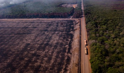 Com 1.180 km², alerta de desmatamento na Amazônia Legal bate recorde em maio