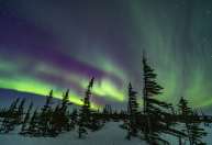 Novo estudo prova origem misteriosa da aurora boreal