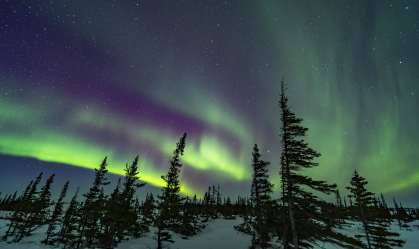 Aurora boreal poderá ser vista em grandes áreas dos EUA e da Europa neste sábado