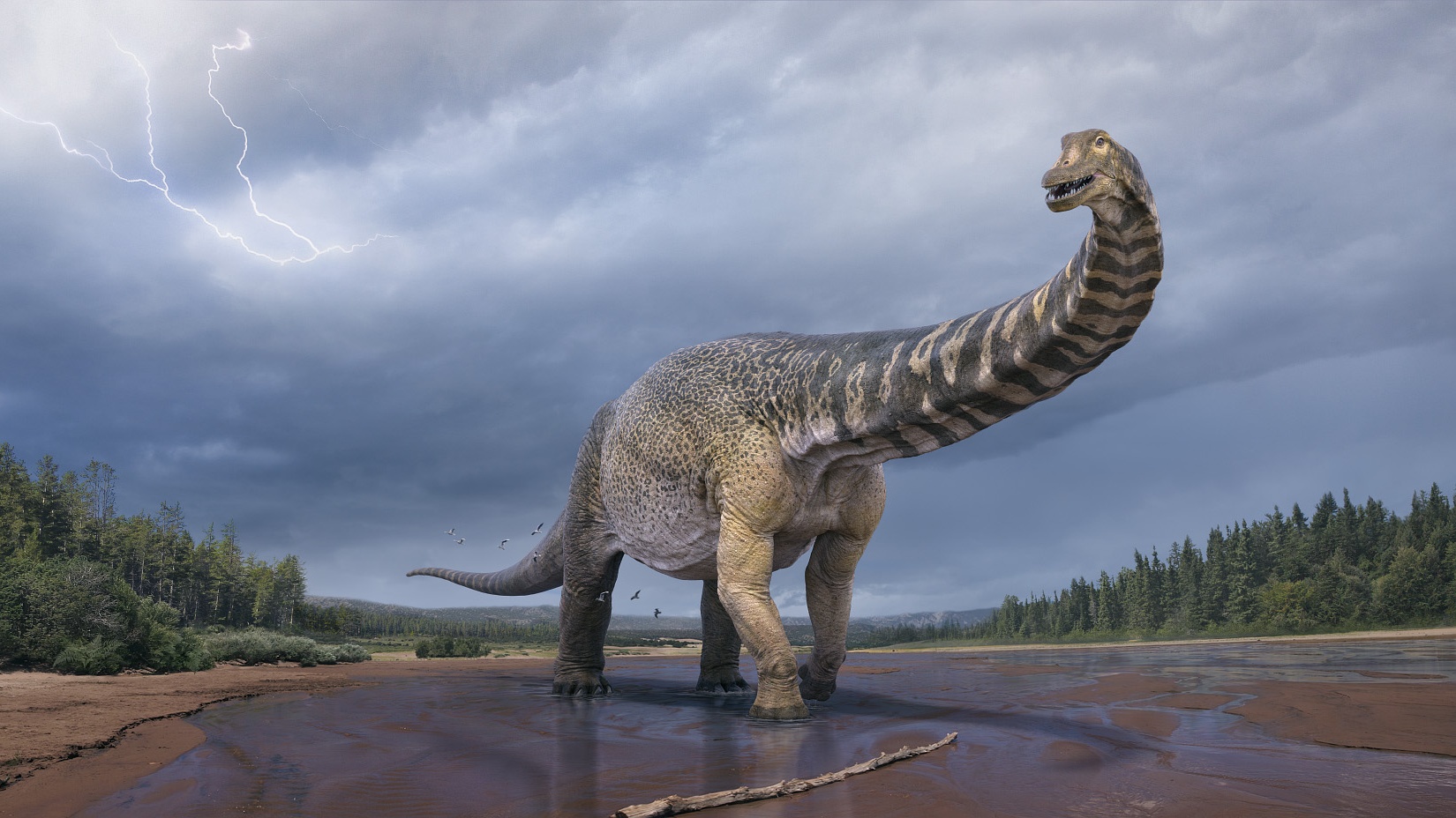 Australotitan cooperensis, maior dinossauro já descoberto na Austrália