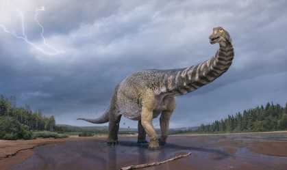 Australotitan cooperensis, maior dinossauro já descoberto na Austrália