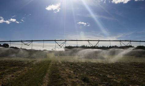 Produtor rural