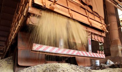 Caminhão descarrega soja em Primavera do Leste (MT)