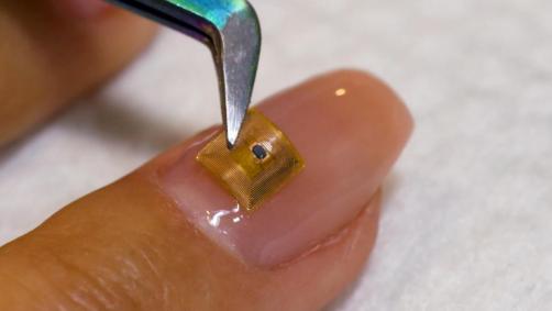 Unha com microchip