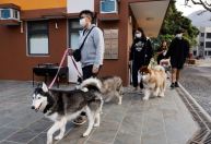 China terá, em breve, mais pets do que crianças pequenas; entenda por que equação ameaça economia