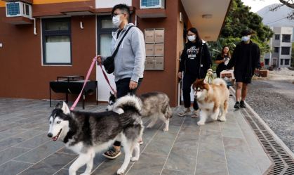 China terá, em breve, mais pets do que crianças pequenas; entenda por que equação ameaça economia