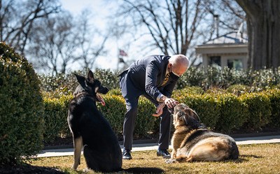 Biden faz carinho em Champ