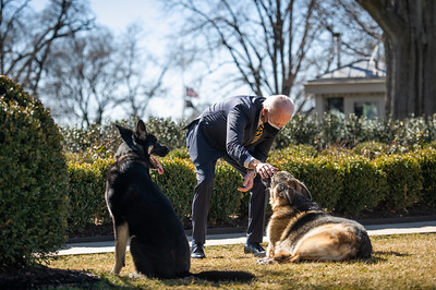 Biden faz carinho em Champ
