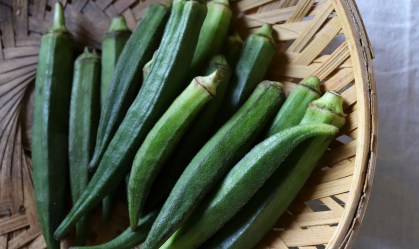 O quiabo é uma boa fonte de vitamina A, e vitamina C