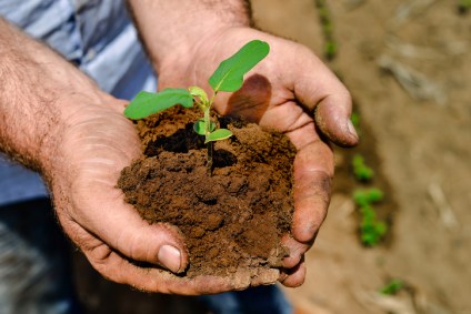 Agricultura