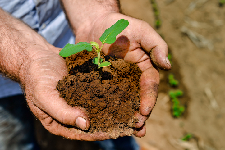 Agricultura